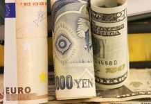 Ce valute au adus randamente mai bune decat euro in acest an