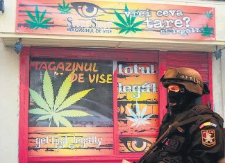 Alesii “expediaza” magazinele de etnobotanice primarilor de la tara