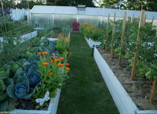 Solariile – o afacere profitabila pe care o puteti incepe oricand