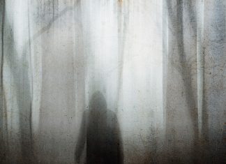 Scurtmetraje de groaza: povesti de groaza dupa care nu vei putea dormi