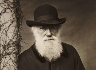 Biografia lui Charles Darwin, initiatorul teoriei evolutiei