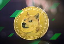 Ce este Dogecoin? Ghidul complet pentru incepatori