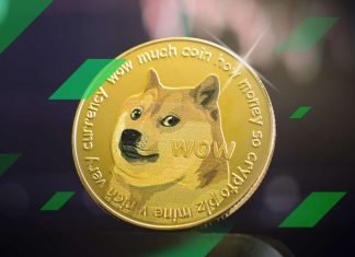 Ce este Dogecoin? Ghidul complet pentru incepatori