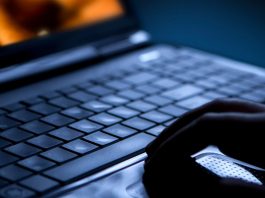 Ce categorii de filme pentru adulti sunt in top in 2024?